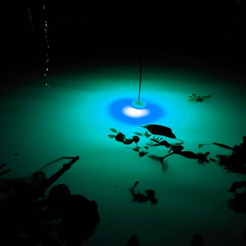 Mini Fishing Attraction Lamp G - Fishing Boat Navigation Light incelemesi ve fiyatı
