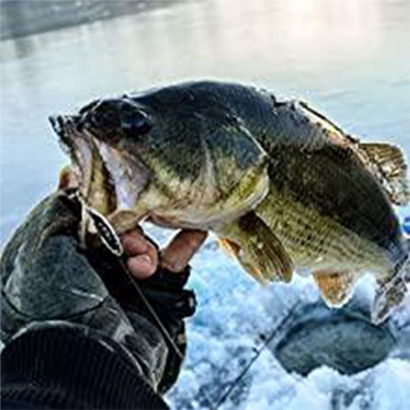 ABUE-Kayak Portable Fish Depth - Fishing Boat Depth Finder incelemesi ve fiyatı